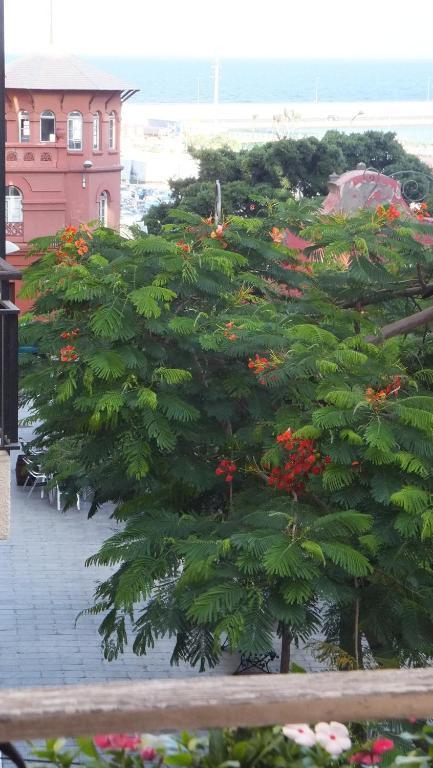 Casa Colonial Cejas 호텔 산타크루스데 테네리페 객실 사진