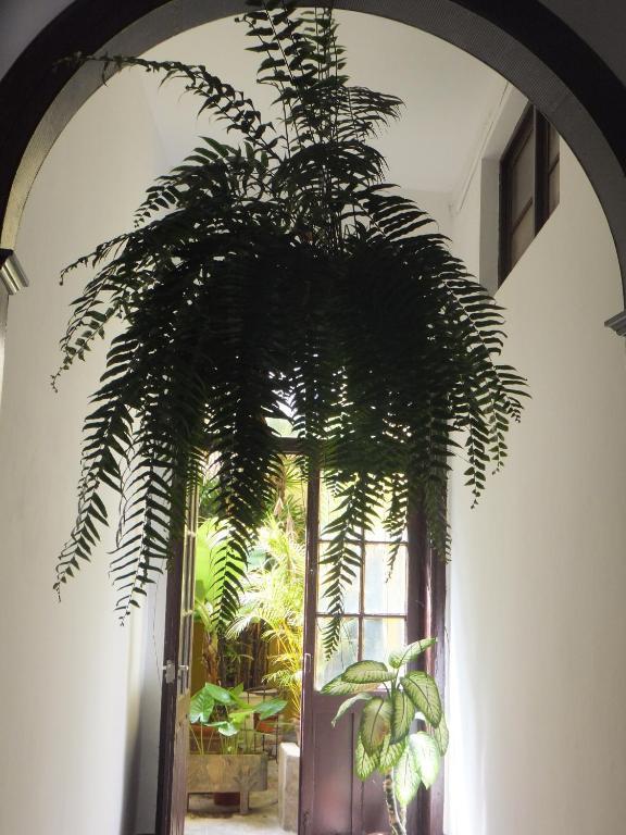 Casa Colonial Cejas 호텔 산타크루스데 테네리페 외부 사진