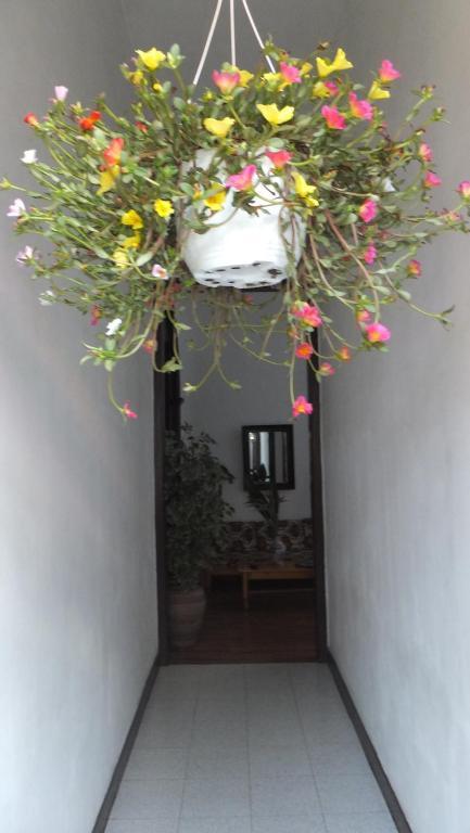 Casa Colonial Cejas 호텔 산타크루스데 테네리페 외부 사진