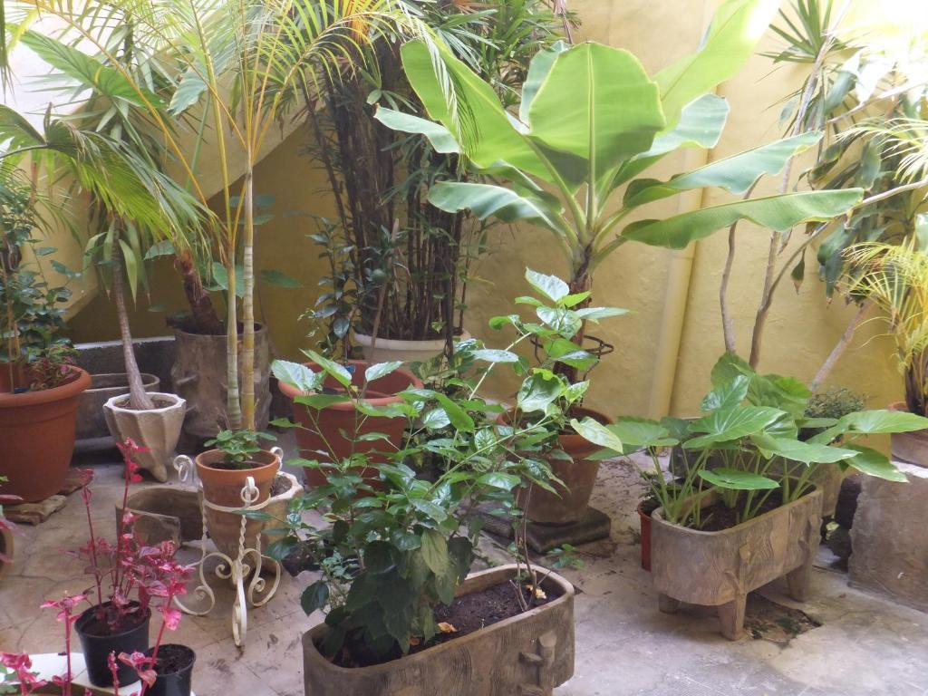 Casa Colonial Cejas 호텔 산타크루스데 테네리페 외부 사진
